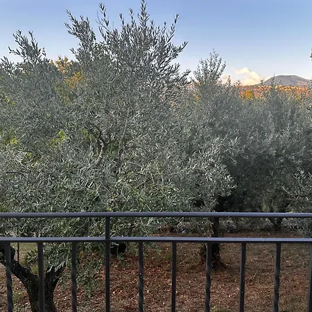 Apartment La Casa In Collina Veroli
